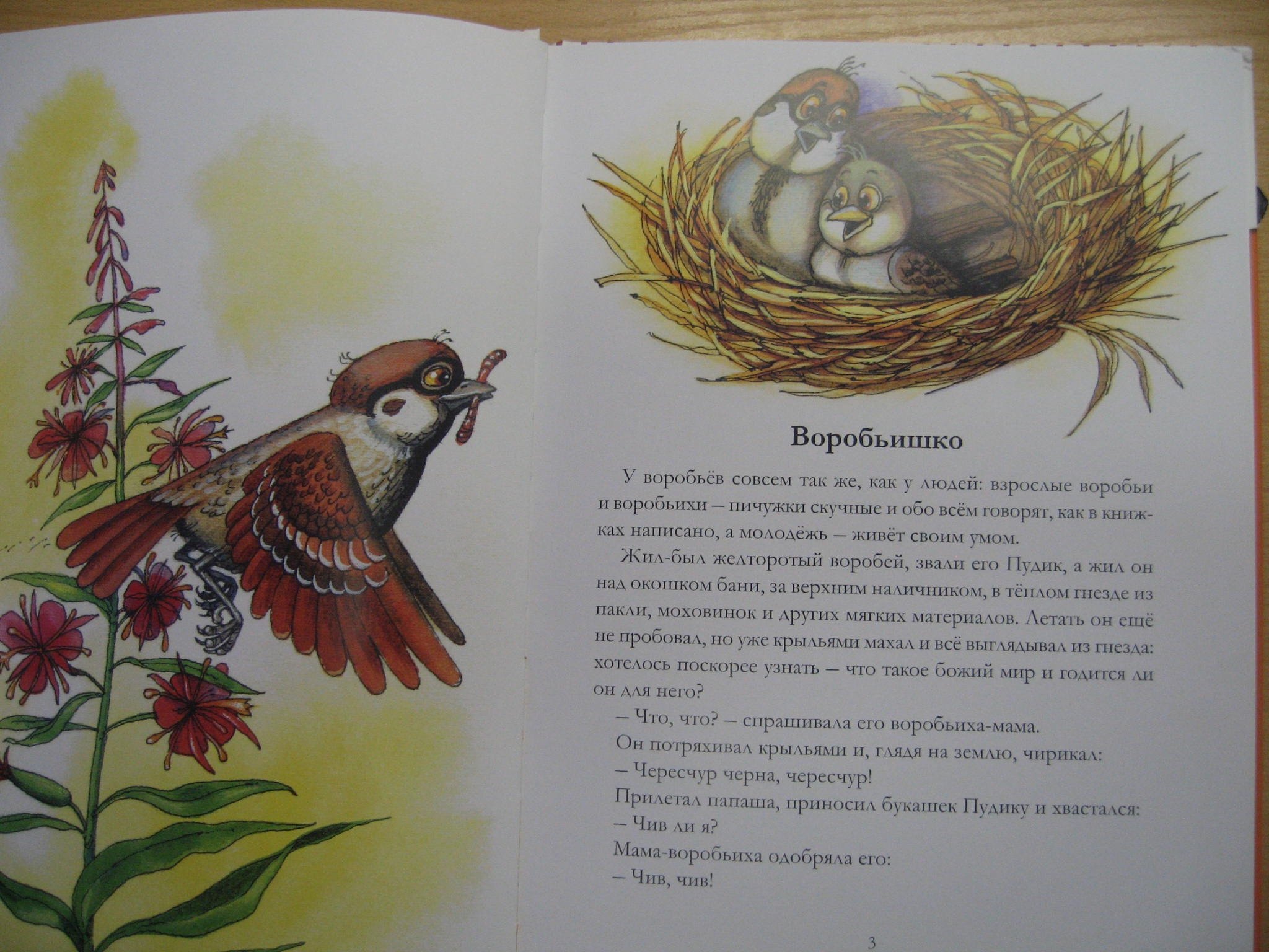 Самовар – краткое содержание сказки горького (сюжет произведения)