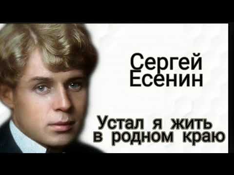 Анализ стихотворения на стоге сена ночью южной фета