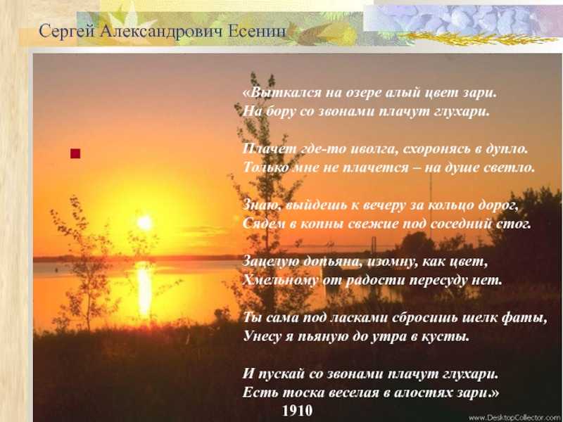 Есенин зацелую допьяна. анализ стихотворения есенина «выткался на озере алый свет зари…