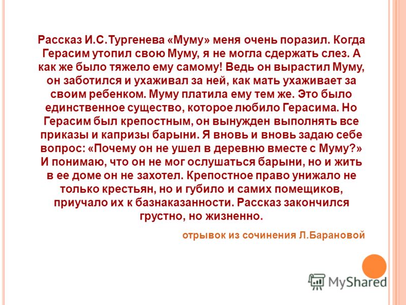 Над чем заставляет задуматься рассказ муму