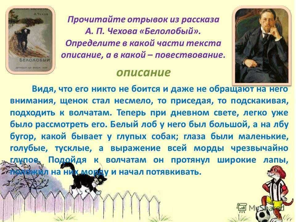Краткое содержание рассказа «белолобый» чехова: главные герои произведения, пересказ книги