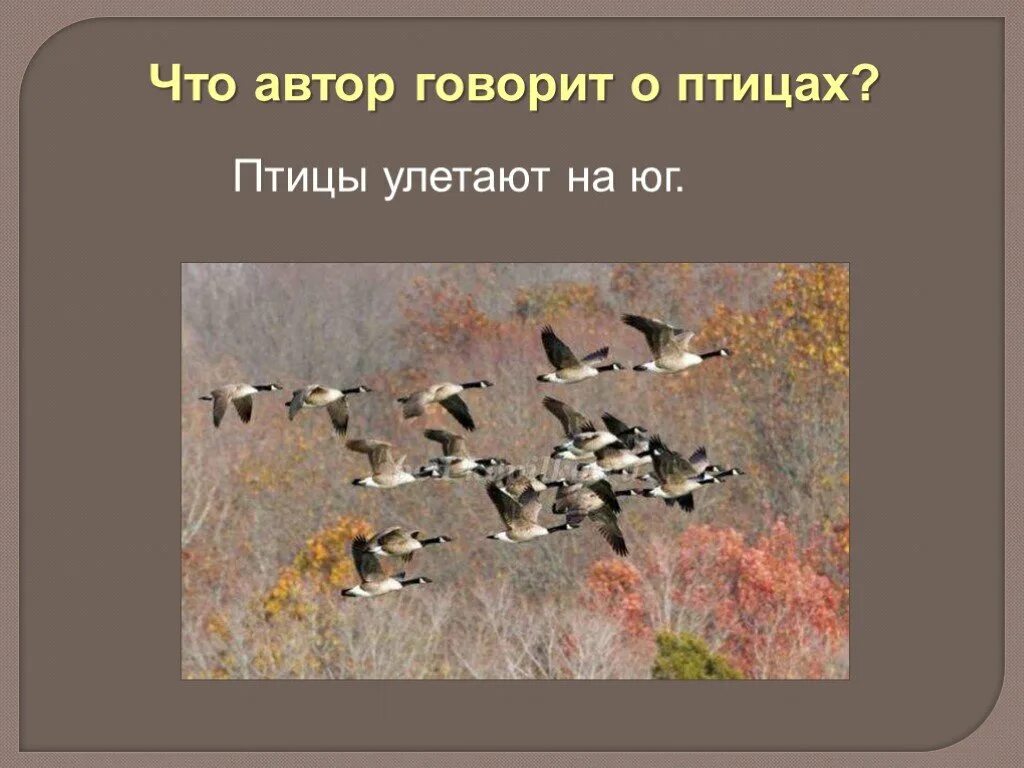 Уроки мужества и жизни: открываем ценности рассказа «поздним вечером» бондарева через глубокий анализ классической литературы