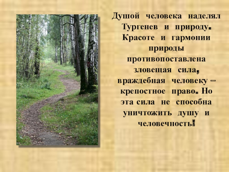 Тургенев: природа в произведениях писателя - новости, статьи и обзоры