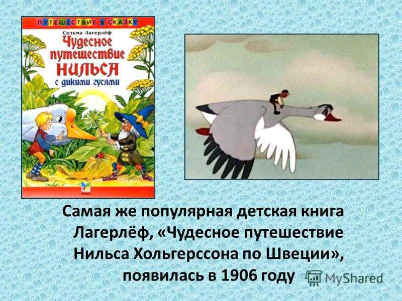Путешествие нильса» краткое содержание для читательского дневника по сказке лагерлефа (4 класс);