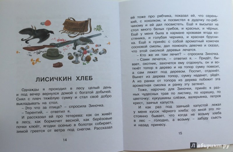 Анализ рассказа лисичкин хлеб пришвина, сочинение