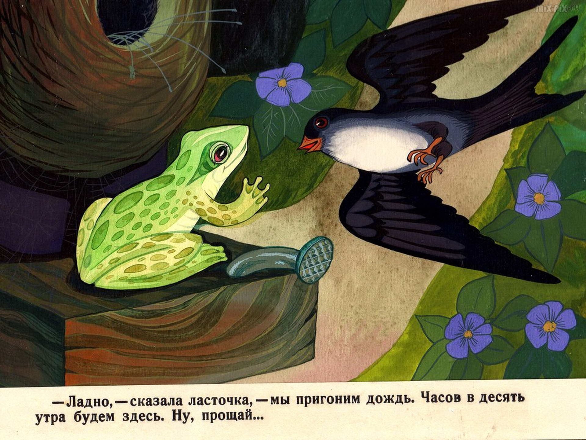 Краткое содержание паустовский квакша для читательского дневника