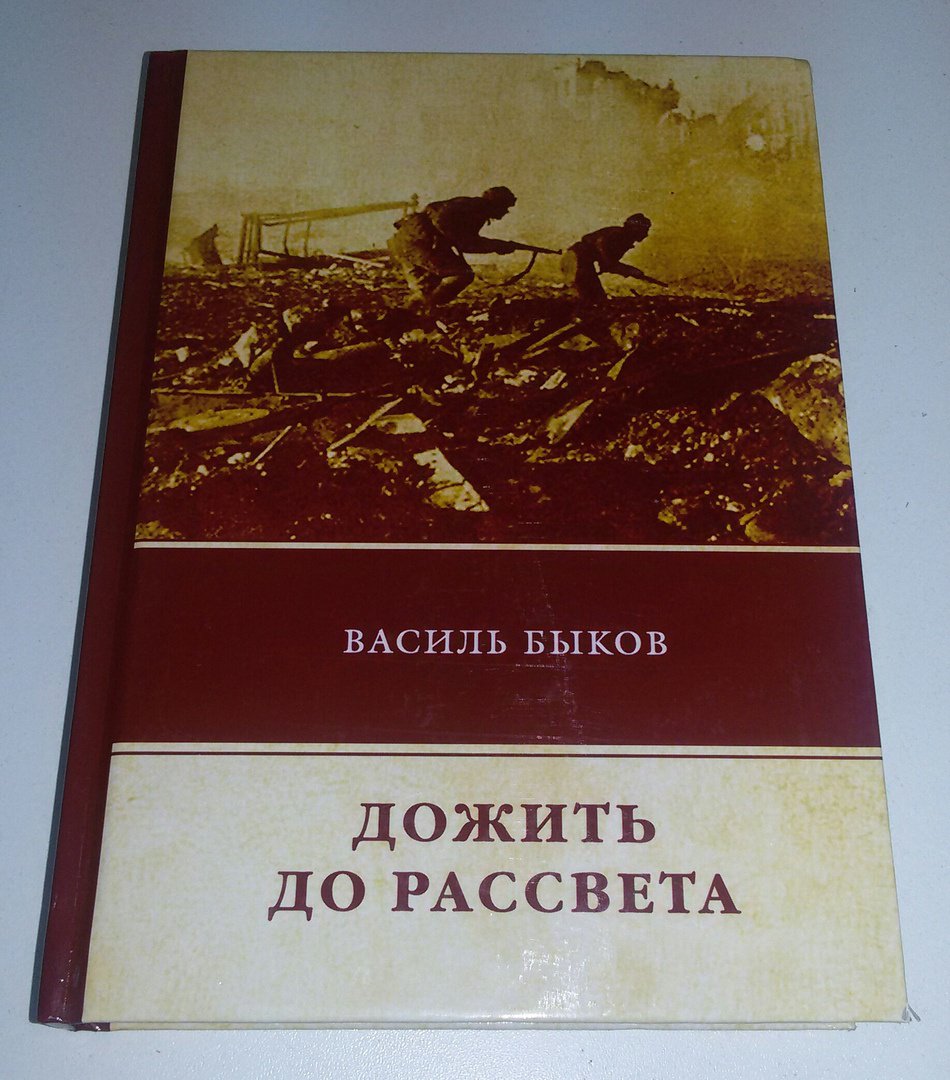 Дожить до рассвета