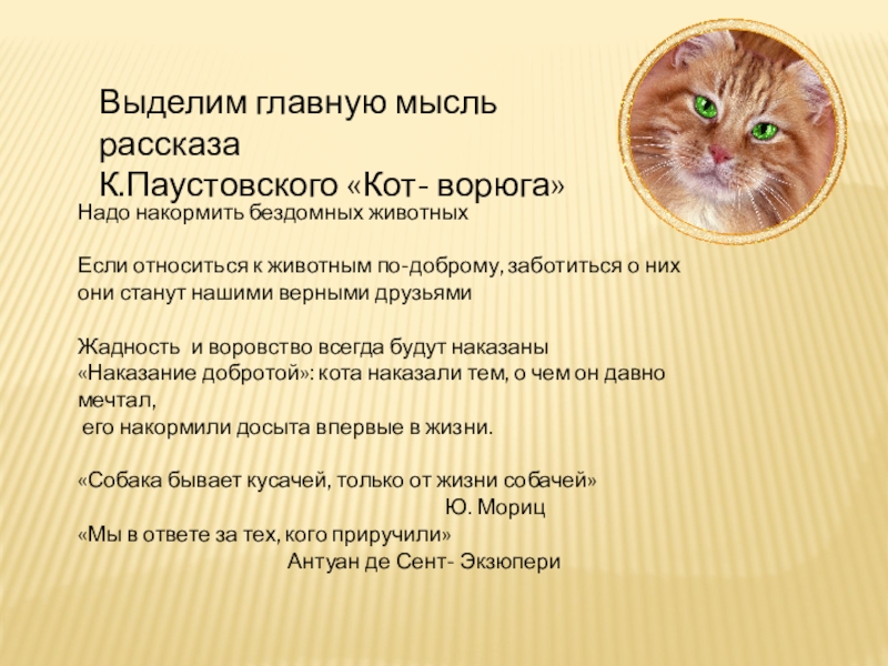 Кот ворюга мы пришли в отчаяние. почему детям необходимо читать подобные произведения. «кот-ворюга», паустовский. чему учит рассказ