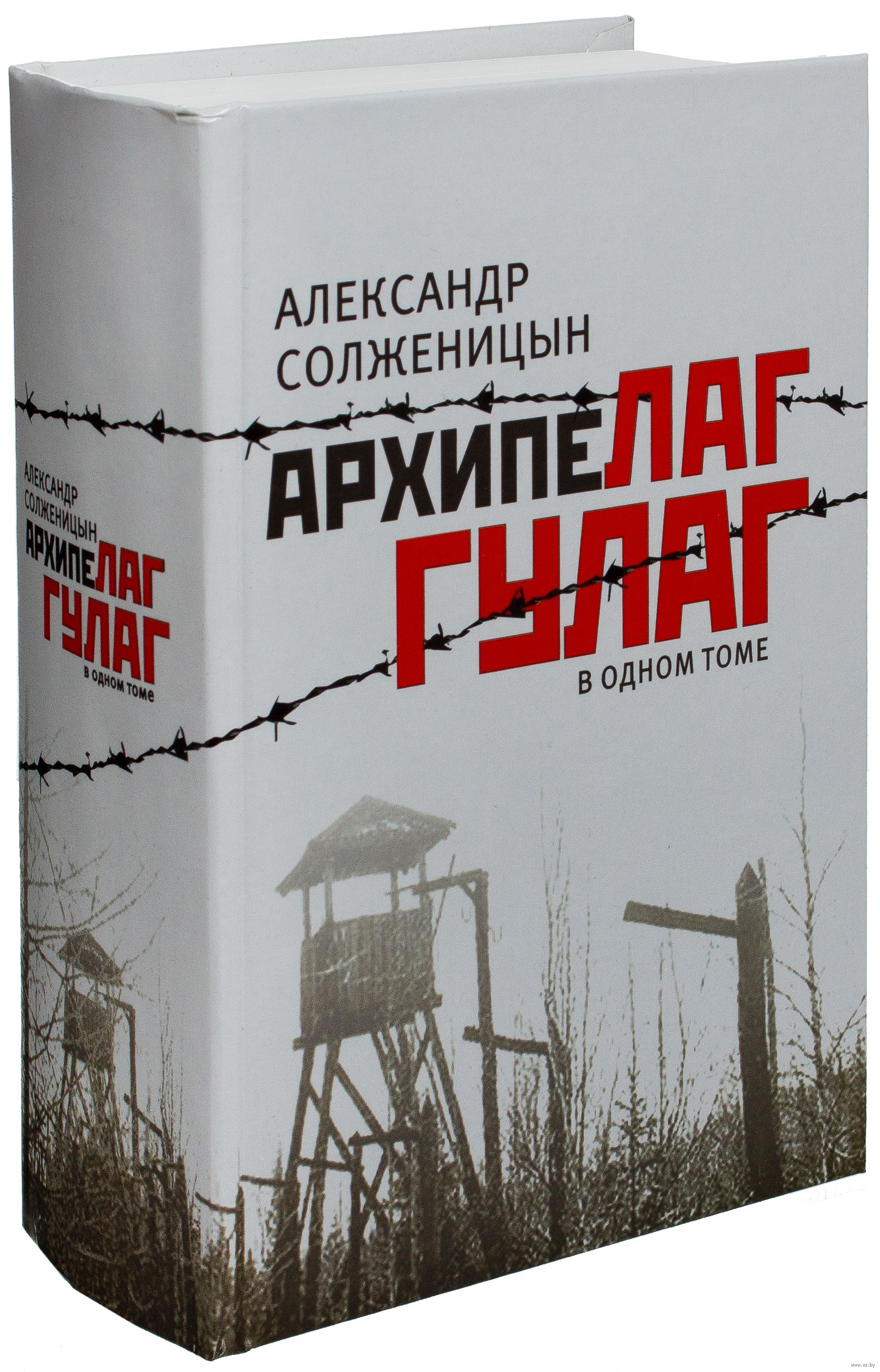 Анализ произведения архипелаг гулаг солженицына - сочинить.ру