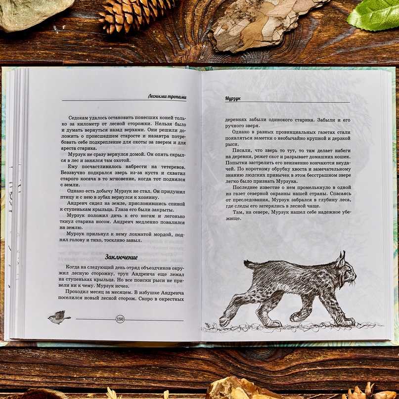 Мурзук - краткое содержание рассказа бианки (сюжет произведения)