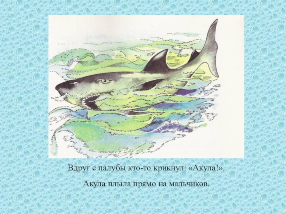 «акула» толстого для читательского дневника: главные герои произведения и пересказ сюжета