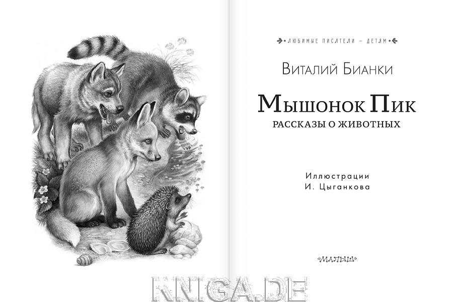 Как составить план сказки мышонок пик для пересказа секреты и советы