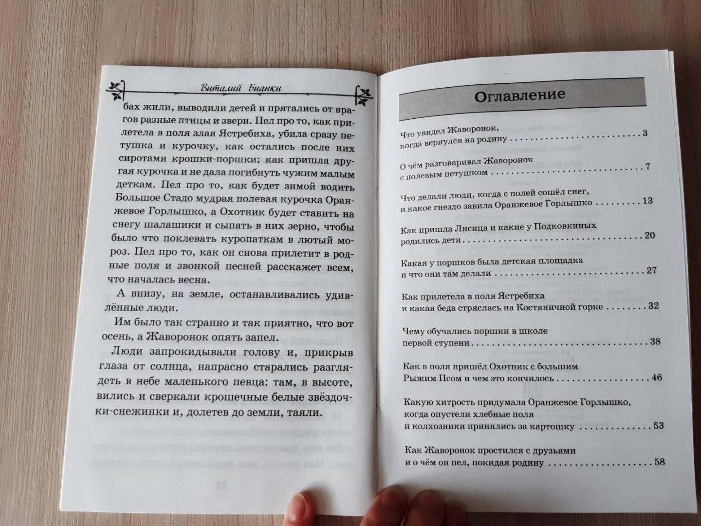 Бианки в. “оранжевое горлышко” читательский дневник, краткое содержание