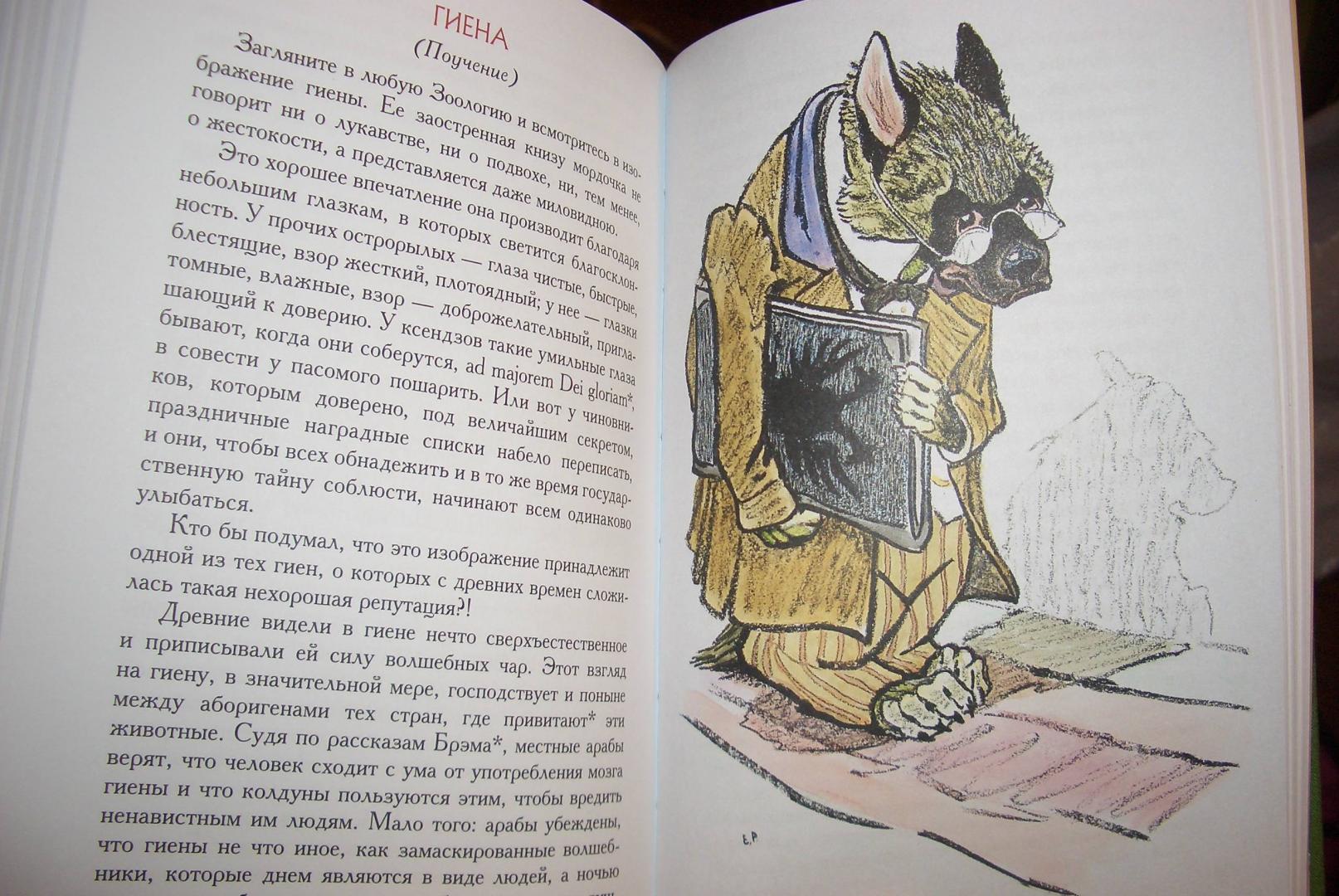 Краткое содержание сказки салтыкова щедрина гиена.