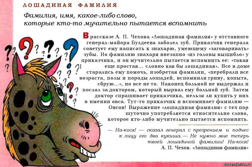 Анализ рассказа а.п. чехова «лошадиная фамилия» план-конспект урока по литературе (8 класс) на тему. «лошадиная фамилия», краткое содержание рассказа (а.п. чехов)