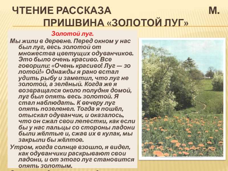 Что писать в читательский дневник о произведении "золотой луг" пришвина - разбор главных тем, символов и идей