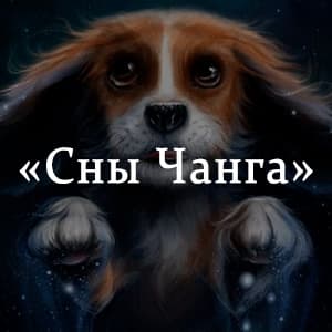 Сны чанга