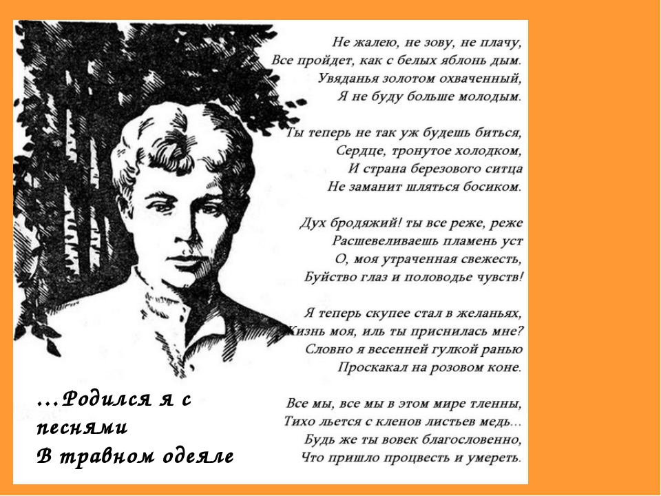 Ночь на родине - стихотворение поэта н.рубцова – читать онлайн