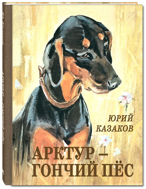 Казаков "арктур - гончий пес" - читательский дневник как заполнить и почему это важно?