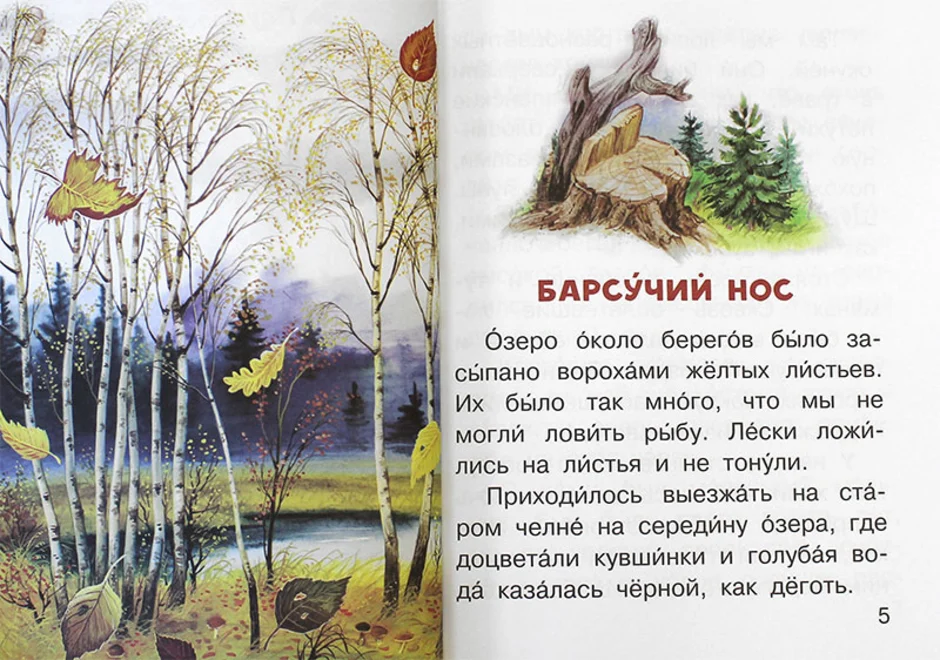 Краткое содержание паустовский барсучий нос за 2 минуты пересказ сюжета