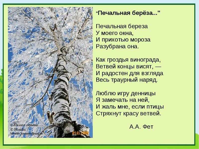 Понемногу: ответы на вопросы учебника к стихотворениям а. фета "весенний дождь", "бабочка" для 4 класса