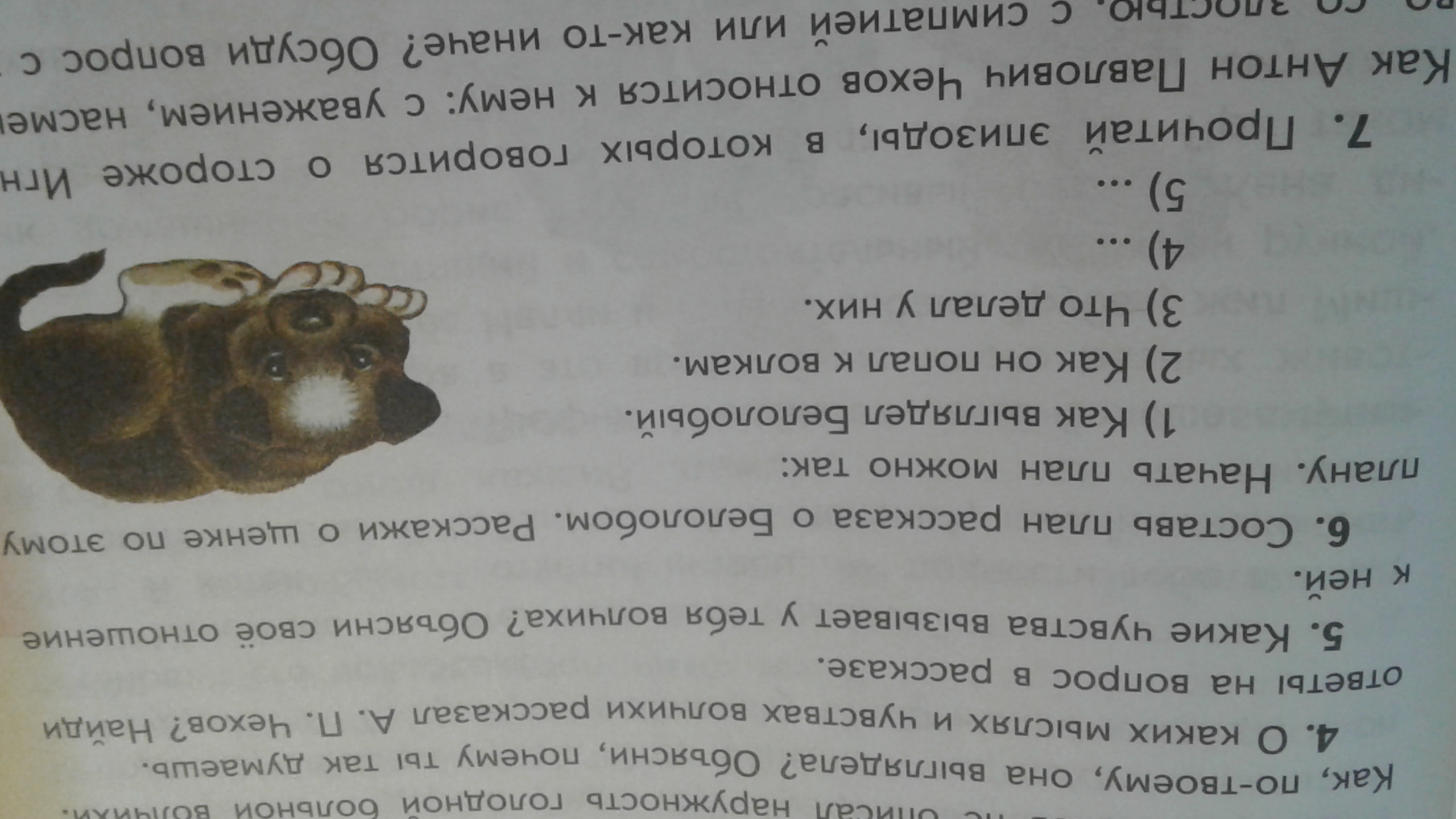 «белолобый» краткое содержание рассказа чехова – читать пересказ онлайн