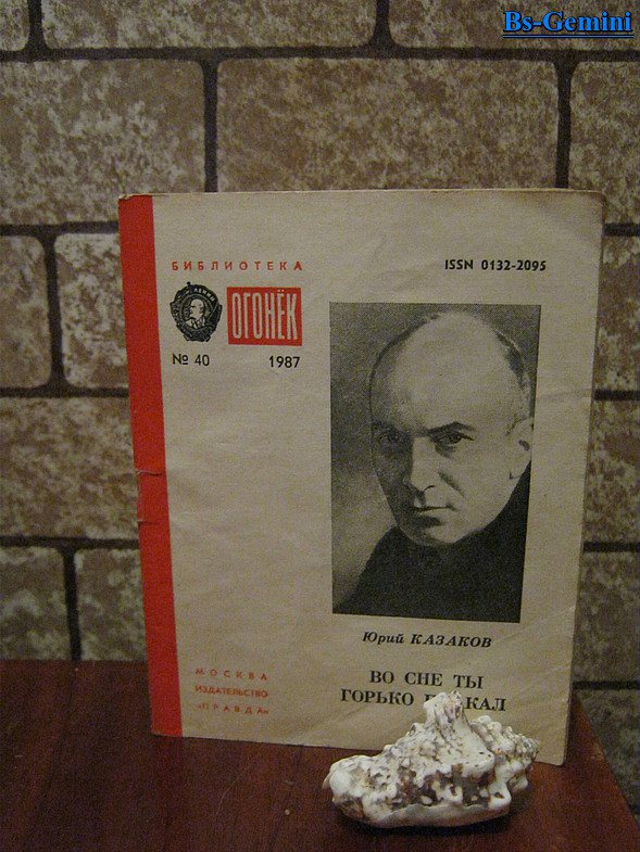 Краткое содержание во сне ты горько плакал казаков ❤️ - краткие содержания