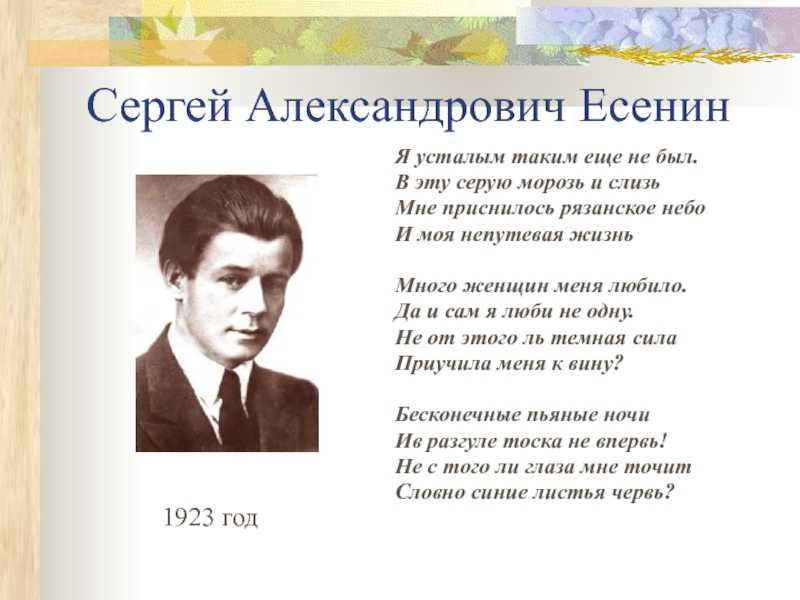 «ночь. не слышно городского шума…» афанасий фет: читать текст, анализ стихотворения