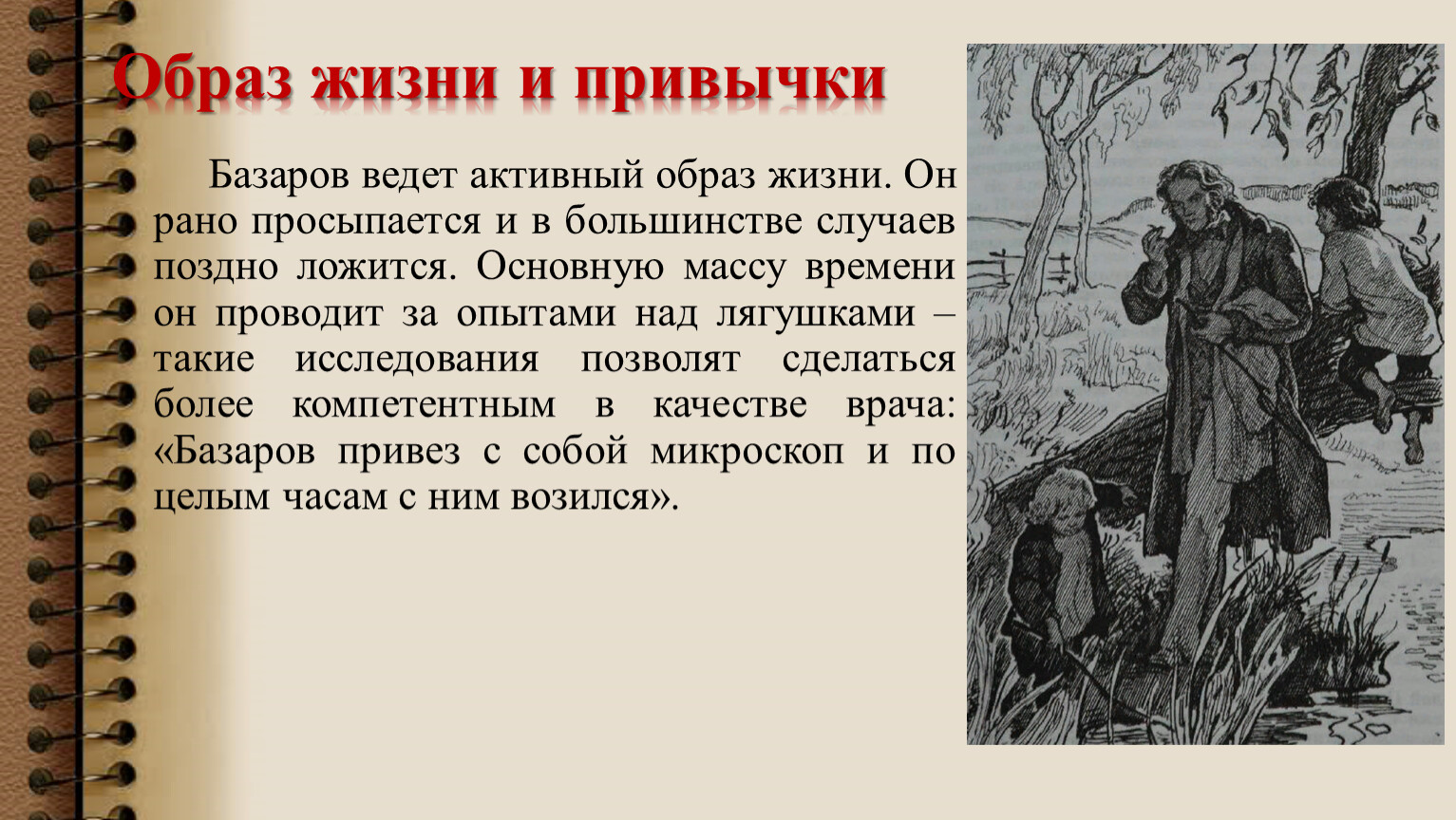 Анализ «отцы и дети»: смысл и проблемы произведения