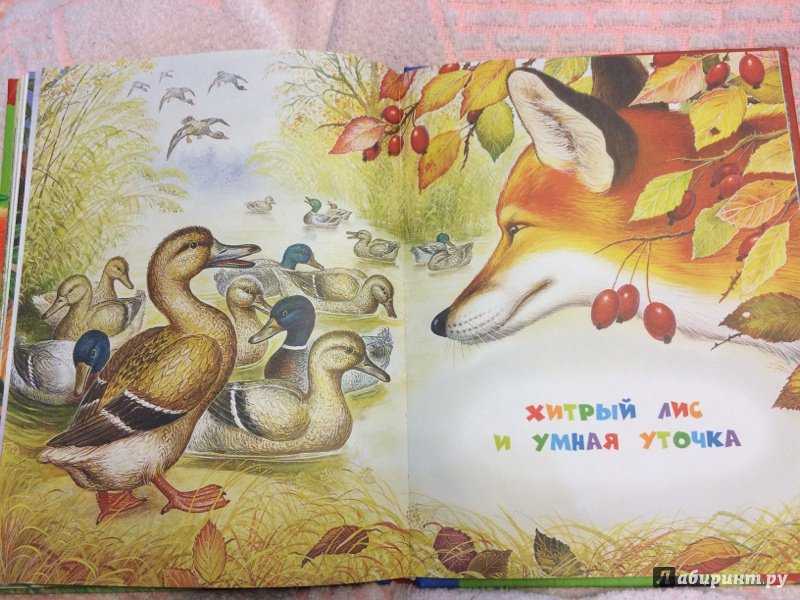 Бианки рассказы 3 класс читательский дневник - граматика и образование на pisanino.ru