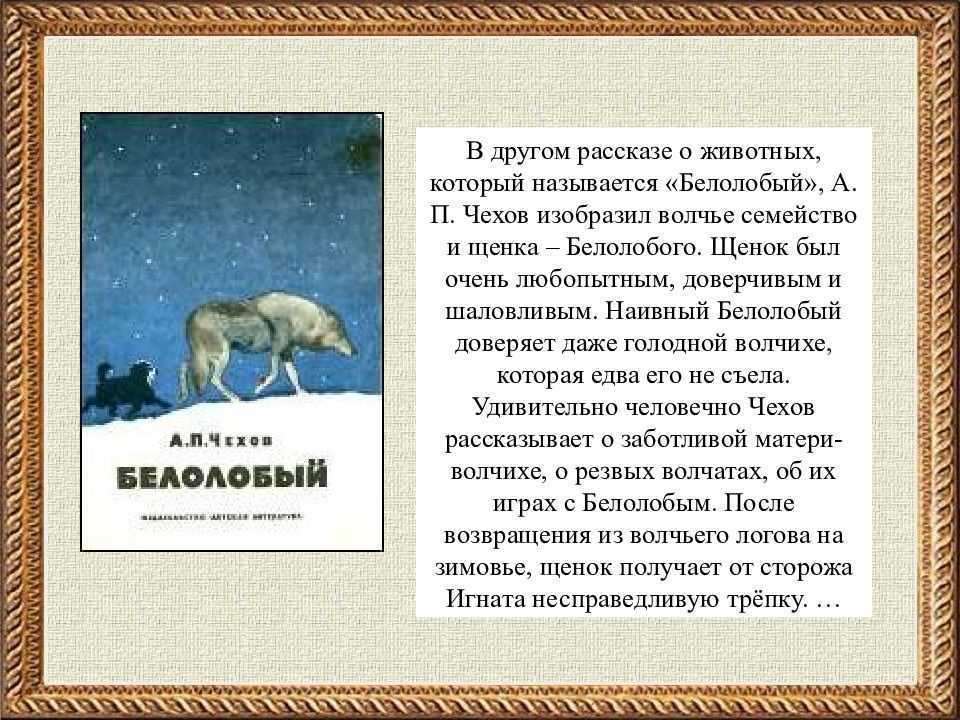 Краткое содержание чехов белолобый за 2 минуты пересказ сюжета - киц г.севастополь | культурно-информационный центр