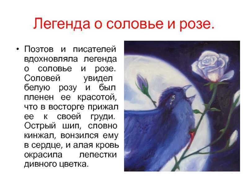 Интерпретация стихотворения оскара уайльда "соловей и роза". реферат. литература. 2010-12-11