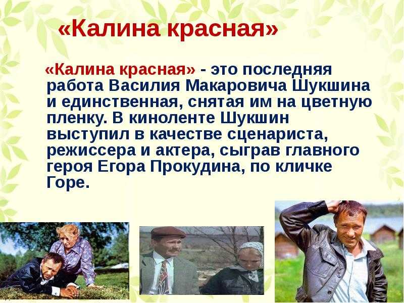 Василий шукшин "калина красная" (1972) | критика 