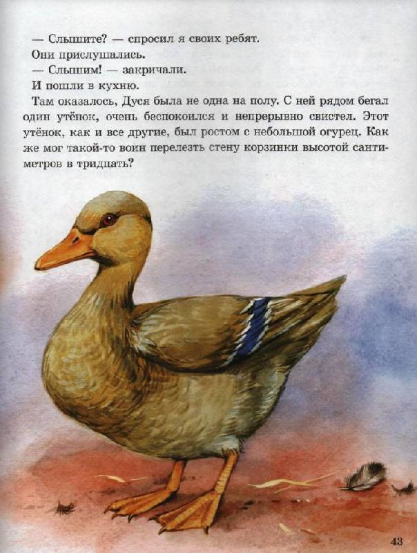 Пришвин "хромка - главная мысль и главные герои, что писать?" — подробный анализ и основные темы произведения