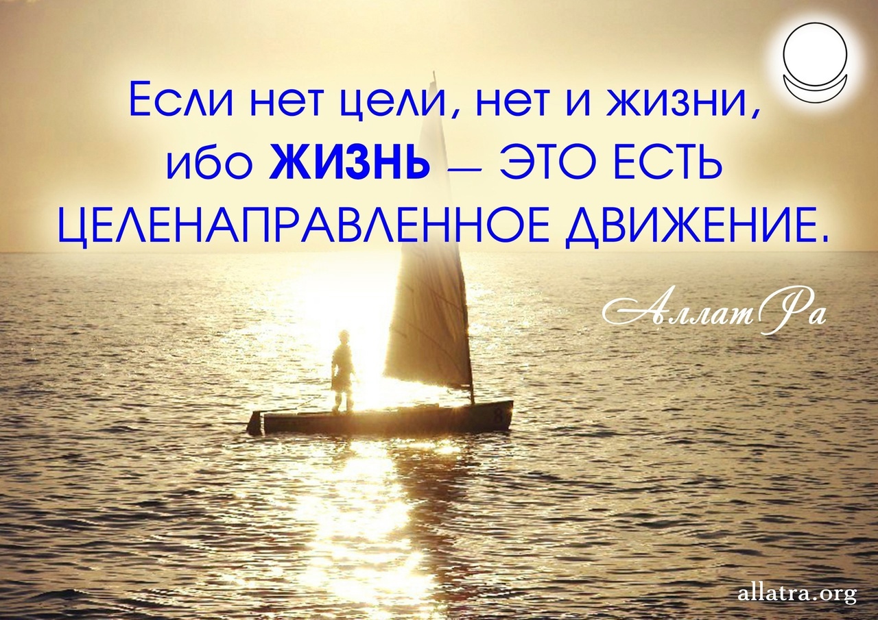 Краткое содержание шолохов бахчевник