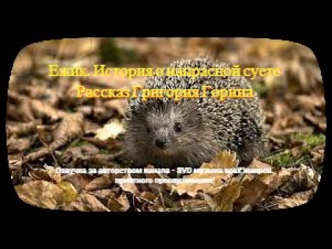 Рассказ ежик григорий горин