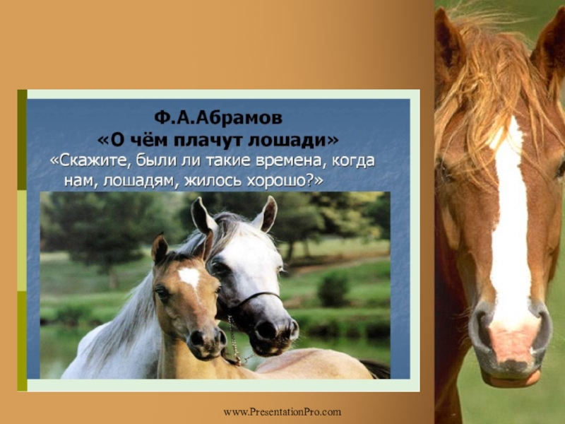 Мбоу «оош с. новое чаплино анализ рассказа ф.а.абрамова «о чём плачут лошади?» (1973 год) 7 класс учитель русского и литературы ятта а.в. 2016 год. - презентация