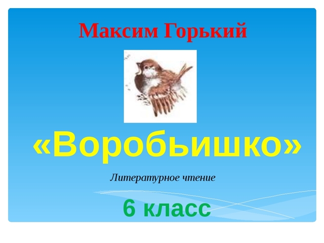 Горький "страсти-мордасти" - краткое содержание, тема и идея