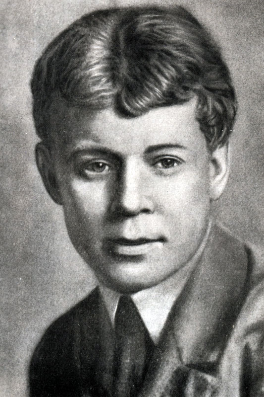Сергей есенин — вечер черные брови насопил