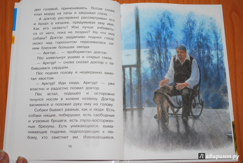 Арктур гончий пес кратко - содержание для читательского дневника