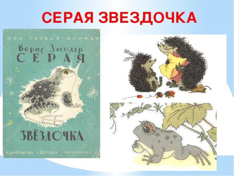 Главная мысль сказки заходера серая звездочка