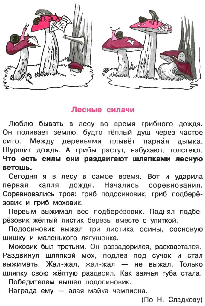 В лесу. (из цикла «с севера на юг») — сладков н.и.