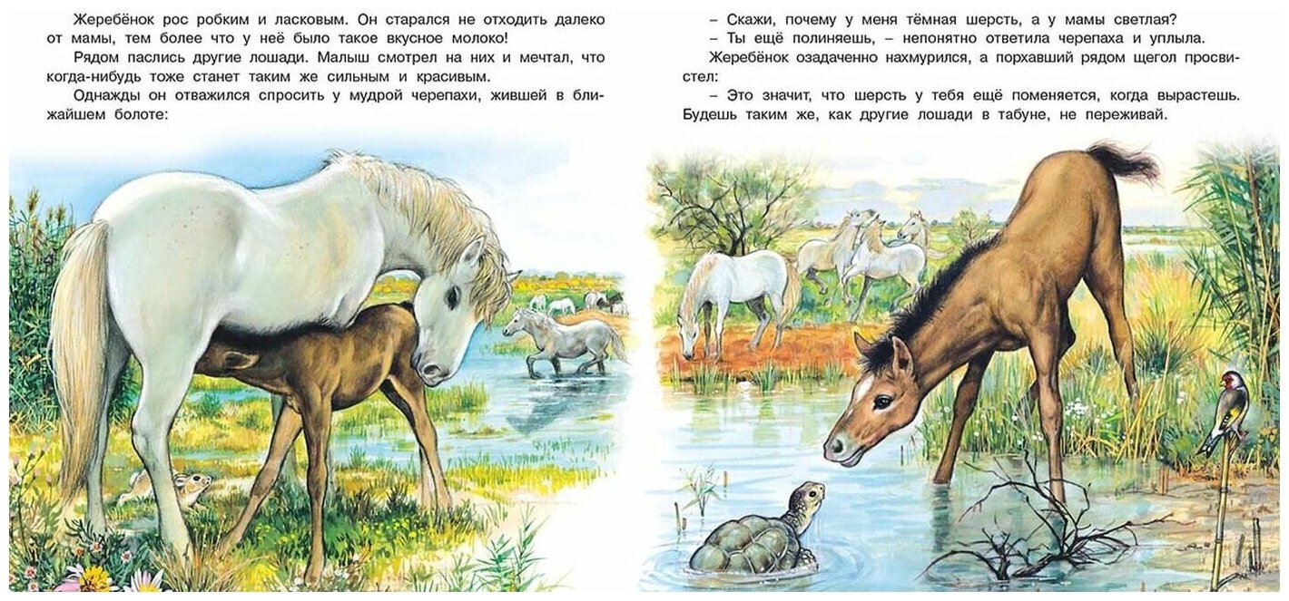 Краткое содержание произведения «донские рассказы» михаила шолохова