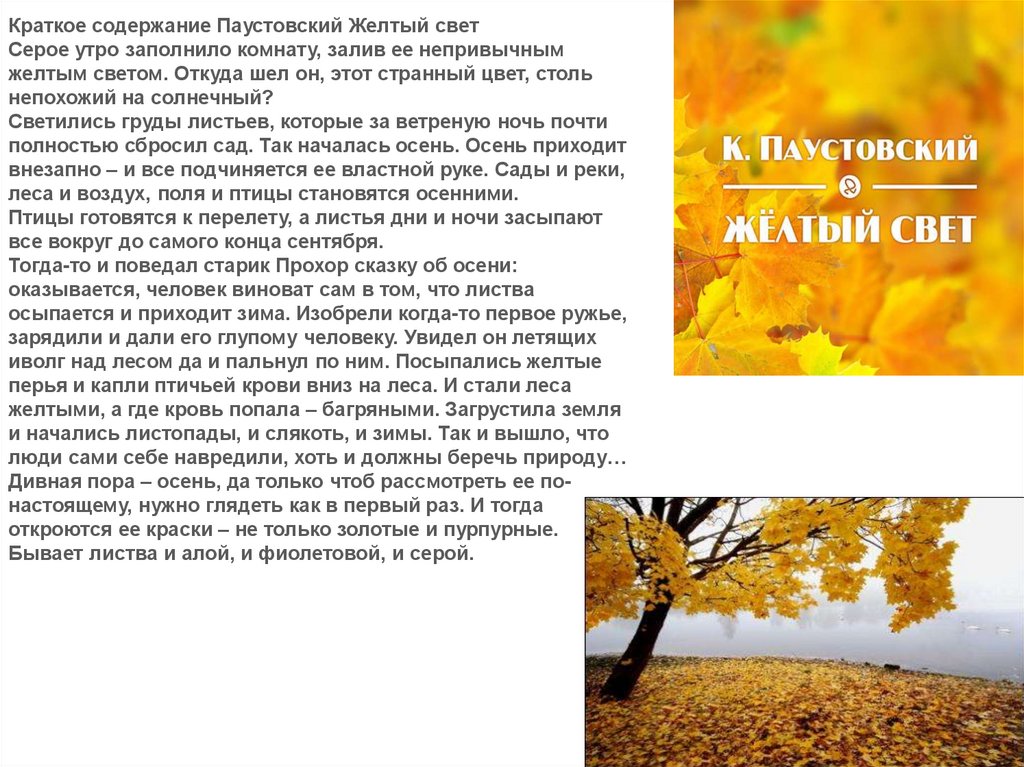 Сочинение для 5-го класса на тему «мое любимое животное»