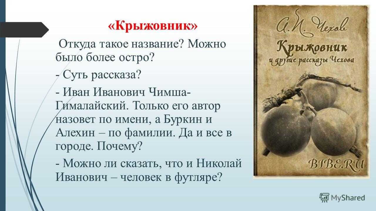 «крыжовник» чехова: твори добро на всей земле!
