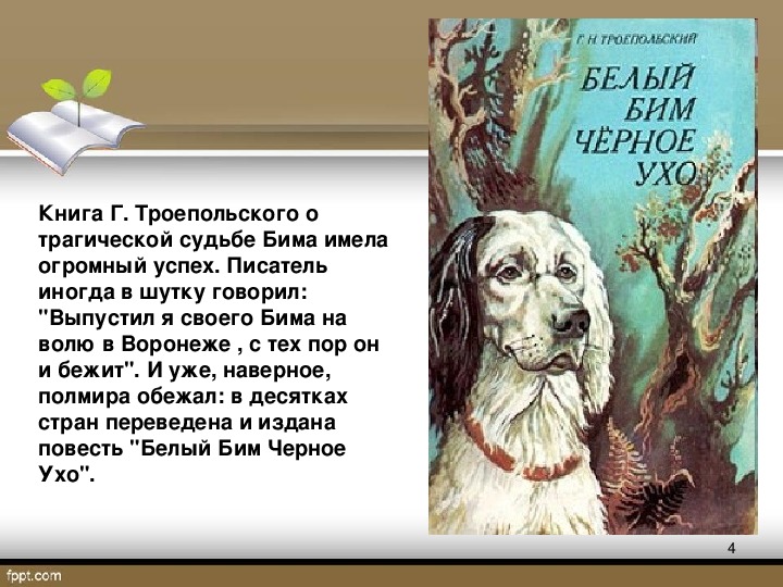Белый бим черное ухо чем понравилось произведение. сочинение "нравственные проблемы повести г