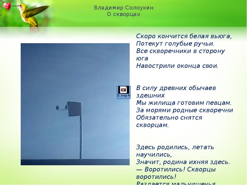 Читать скворцы белов. скворцы белов