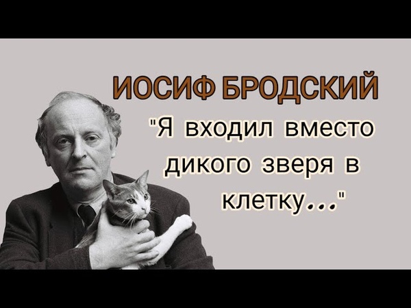 Из него раздаваться будет лишь благодарность. анализ стихотворения иосифа бродского «я входил вместо дикого зверя в клетку