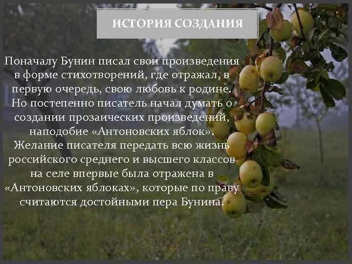 Анализ повести бунина деревня сочинение