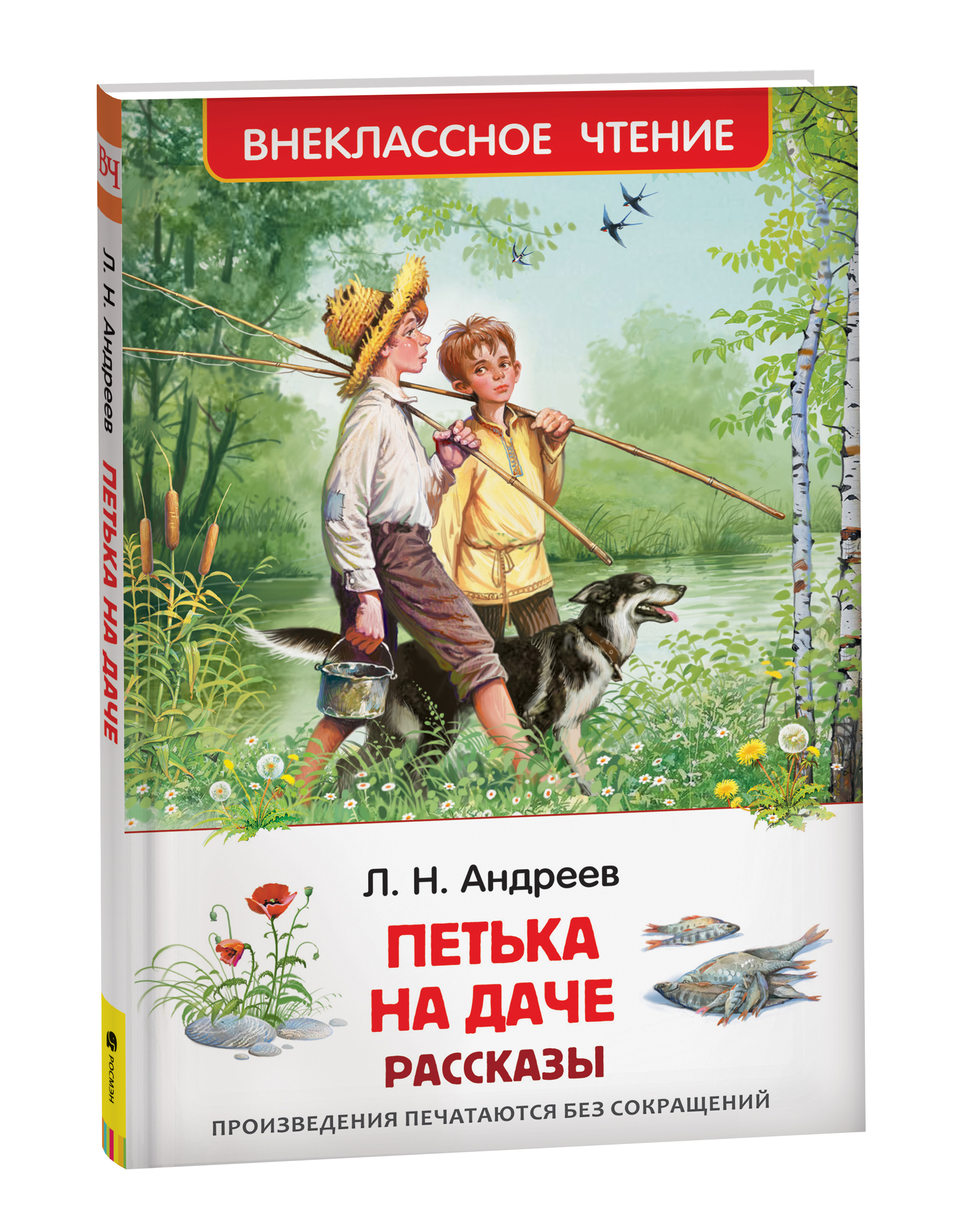 Л андреев на станции анализ. анализ произведения «жизнь человека» андреева л.н. федеральное агентство по образованию